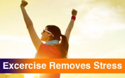 How Does Exercise Tone Down Your Stress Level